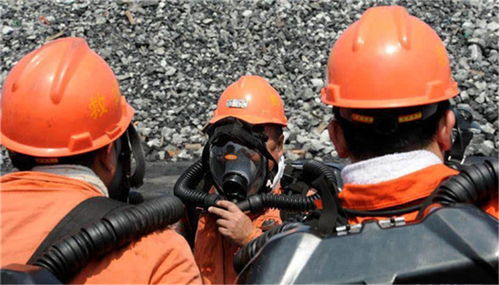 中心鎮白馬河邊濕地