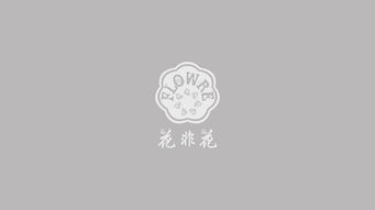 平面設計的視覺語言 從核心圖形到樣機展示的魅力呈現(xiàn)
